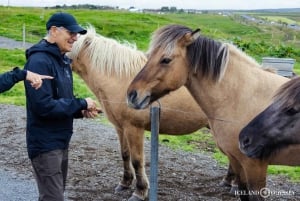 Reykjavik : Cercle d'or privé avec aurores boréales