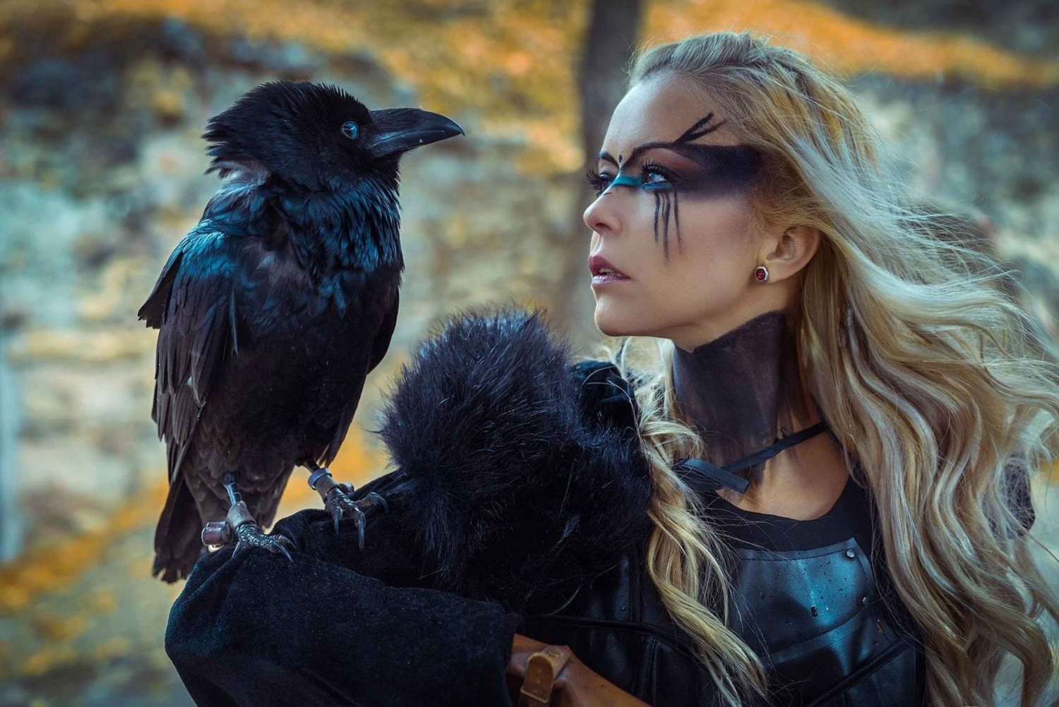 Reykjavik: Privétour door het IJslandse Vikingtijdperk