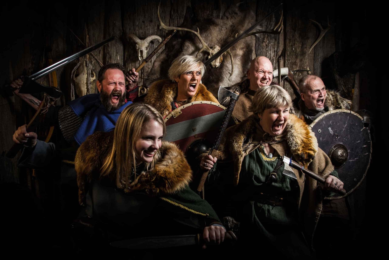 Reykjavik: Privétour door het IJslandse Vikingtijdperk