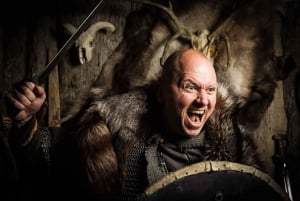 Reikiavik: Tour a pie privado de la Era Vikinga en Islandia