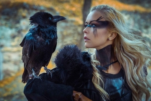 Reykjavik: Privétour door het IJslandse Vikingtijdperk