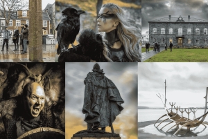 Reykjavik: Privétour door het IJslandse Vikingtijdperk