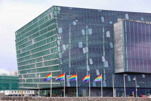 Reykjavík: LGBTQ+ -kävelykierros paikallisen oppaan kanssa.