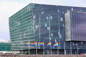 Reykjavík: Privat HBTQ+ vandringstur med en lokal guide