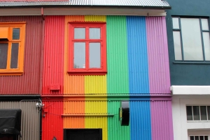 Reykjavík: Private LGBTQ+ Walking Tour with a Local Guide