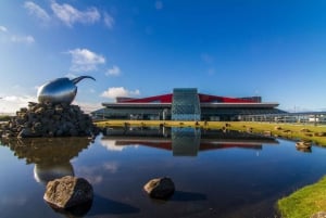 Reykjavik: privé-luxe luchthaventransferservice