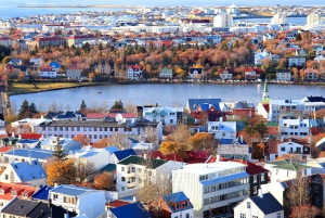 Reykjavik: Prywatna luksusowa usługa transferu z lotniska