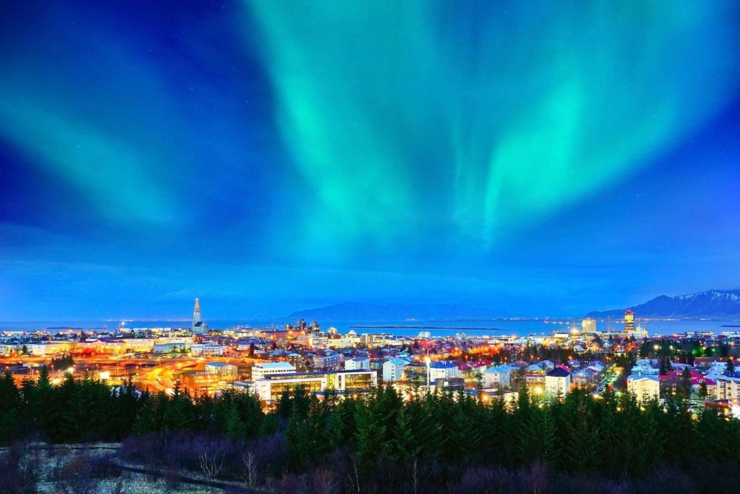 Reykjavik: Private nächtliche Tour