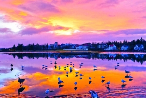 Reykjavik: Private nächtliche Tour