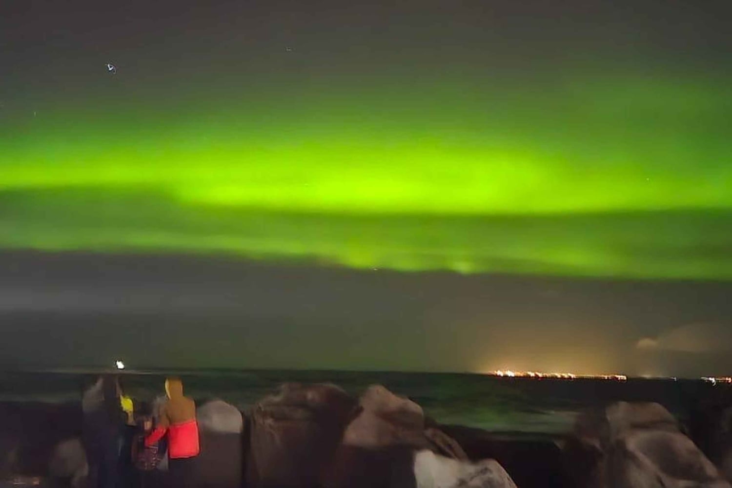 レイキャビク：ガイド付きオーロラ観賞プライベートツアー