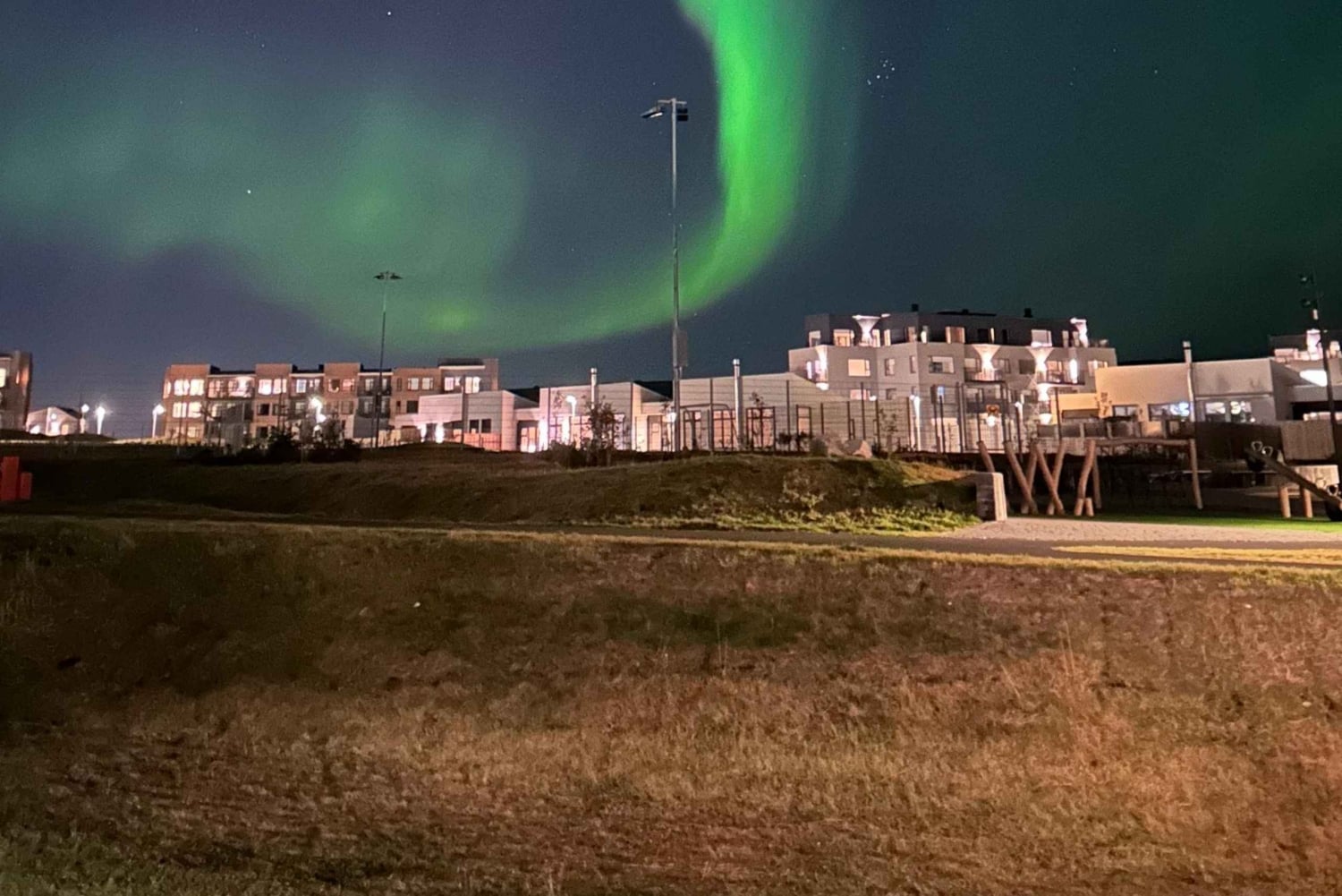 レイキャビク：ガイド付きオーロラ観賞プライベートツアー