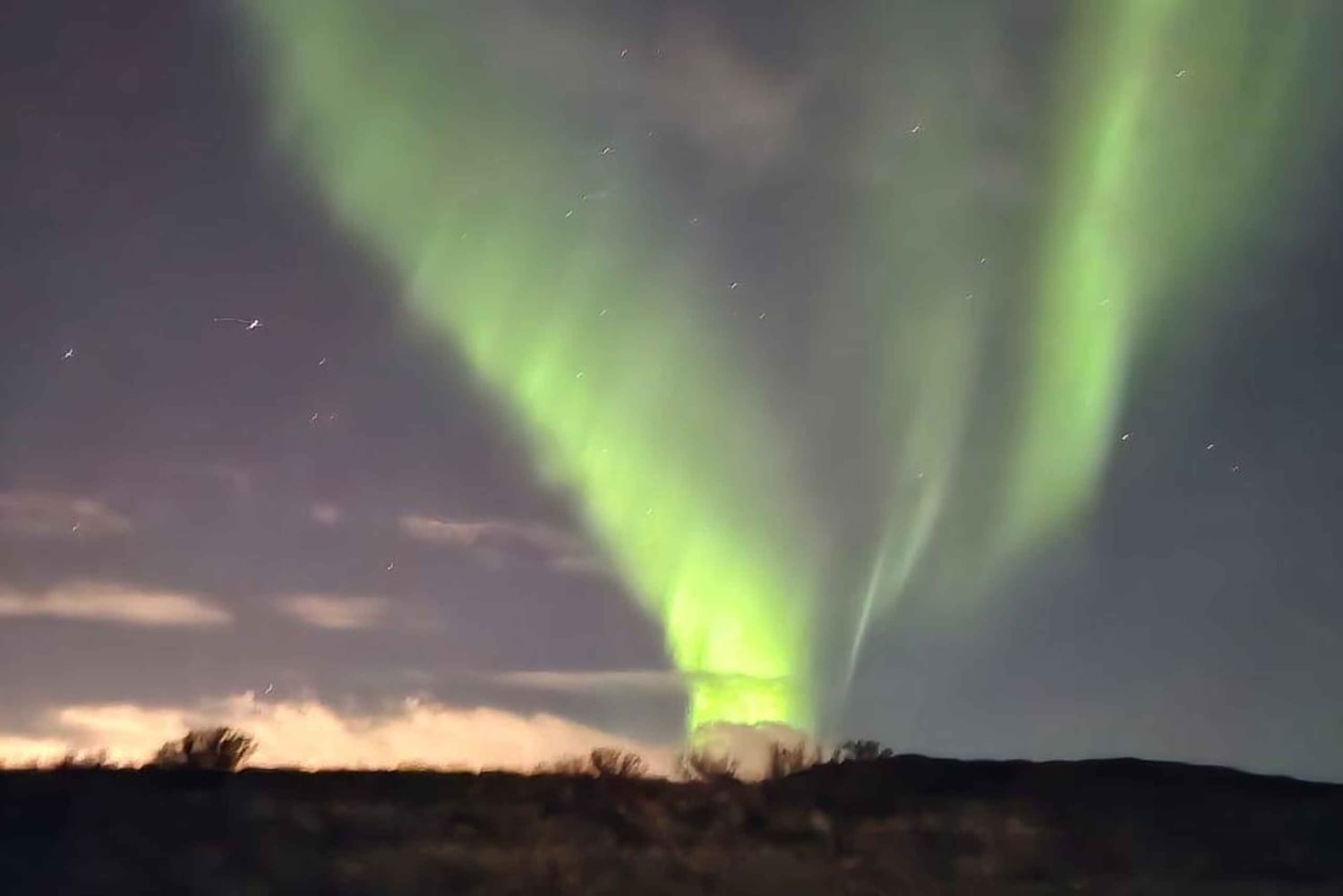 レイキャビク：ガイド付きオーロラ観賞プライベートツアー