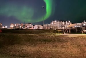 レイキャビク：ガイド付きオーロラ観賞プライベートツアー