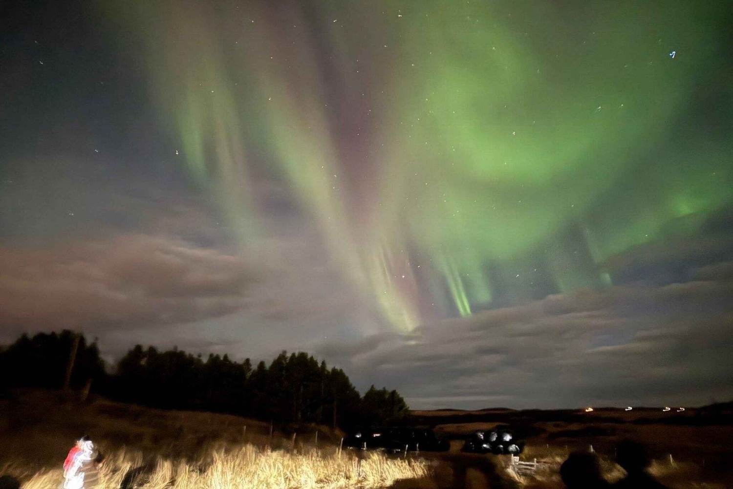 Reykjavík: Privat norrskensresa med guide