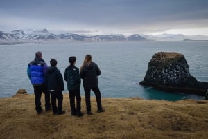 Reykjavik: Privat tur til Snaefellsnes-halvøya med bilder