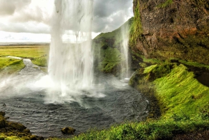 Reykjavik: Private South Coast Highlights Guided Day Tour