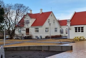 Reykjavik Verborgene Schätze - Privat - Halbtagestour - mit Einheimischen
