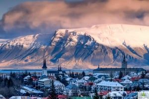 Reykjavik: Private Tour with a Local