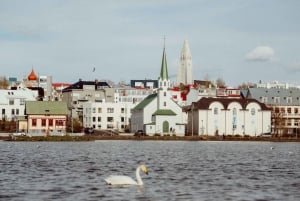 Reykjavik: Private Tour with a Local