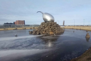 Reykjavik : Transfert privé de/vers l'aéroport de Keflavík (KEF)