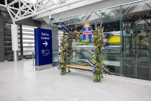 Reykjavik: Privat transport til Keflavik lufthavn