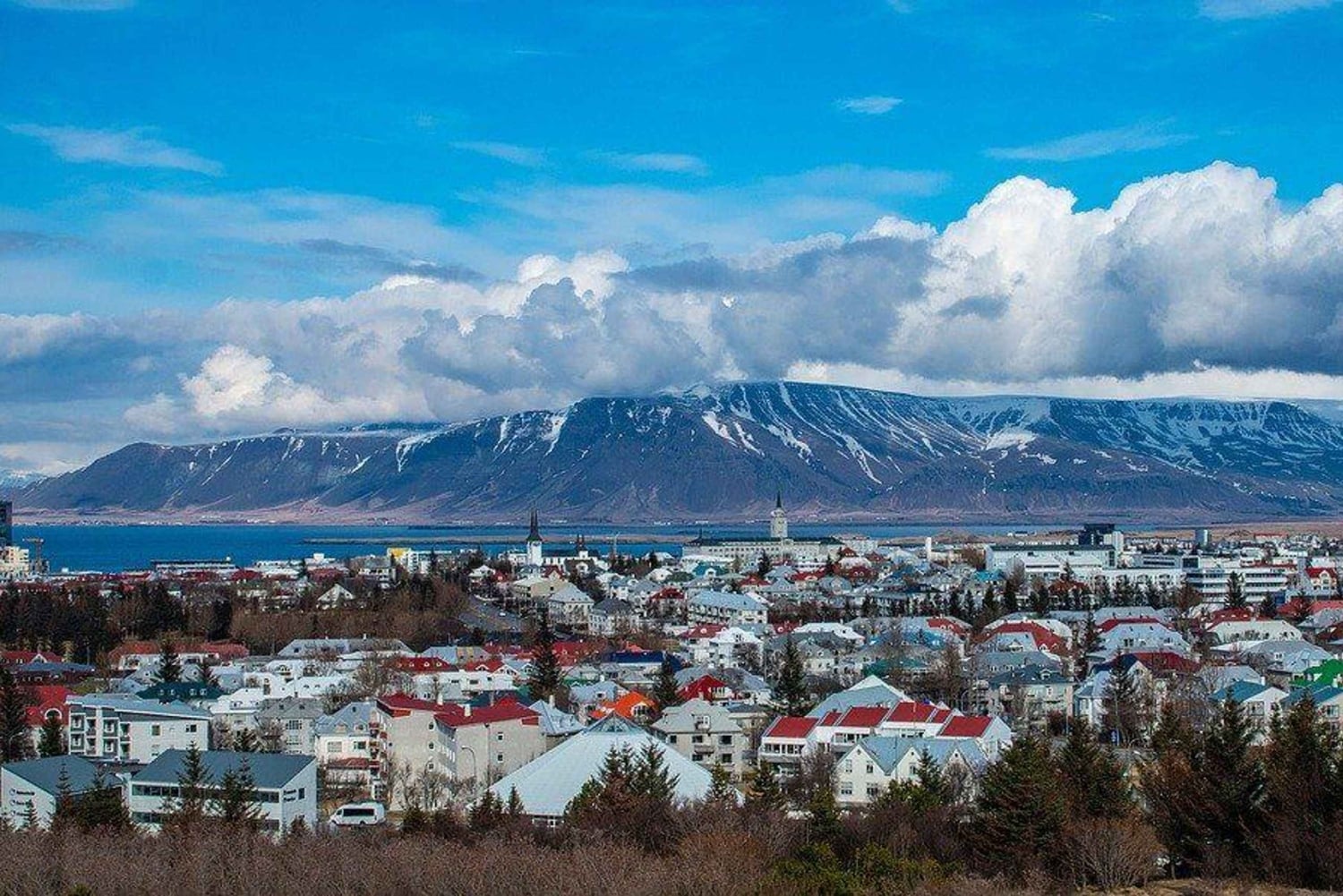 Privat vandretur i Reykjavik