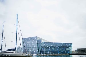 Reykjavik: Lundesafari på båd