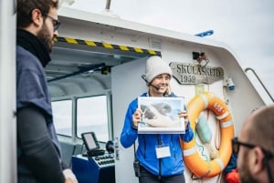 Reykjavik: wycieczka łodzią z obserwacją maskonurów
