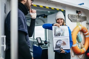 Reykjavik: Bootsfahrt mit Papageitaucher-Beobachtung