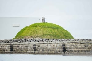 Reykjavik: passeio de barco para observação de papagaios-do-mar