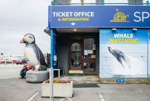 Reikiavik: Tour en barco para avistar frailecillos