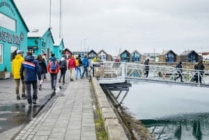Reikiavik: Tour en barco para avistar frailecillos