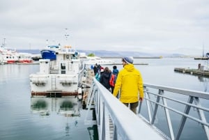 Reikiavik: Tour en barco para avistar frailecillos