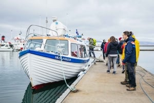 Reikiavik: Tour en barco para avistar frailecillos