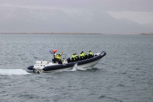Рейкьявик: экскурсия по наблюдению за тупиками на скоростном катере RIB