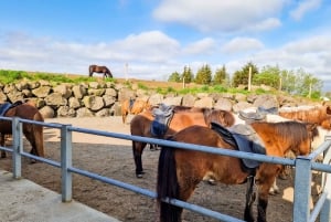 Reykjavik: Tour a cavallo della Lava Rossa