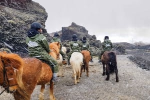 Reykjavik: Passeio a cavalo pela lava vermelha