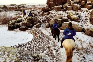 Reykjavik: Red Lava Horse Riding Tour