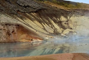 Reykjavik: Reykjanes Luxury Private Tour with Local Guide