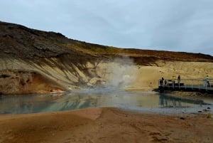 Reykjavik: Reykjanes Luxury Private Tour with Local Guide