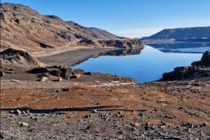 Reykjavik: Reykjanes Luxury Private Tour with Local Guide