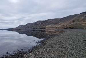 Reykjavik: Reykjanes Luxury Private Tour with Local Guide