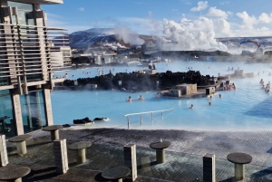 Reykjavik: Reykjanes Luxury Private Tour with Local Guide