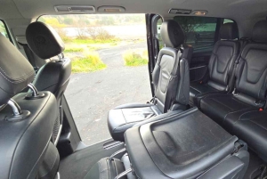 Reykjavik: Reykjanes Luxury Private Tour with Local Guide