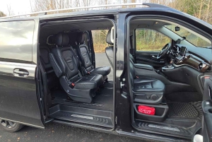 Reykjavik: Reykjanes Luxury Private Tour with Local Guide