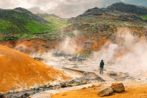 Reykjavik: Privat tur til Reykjanes-halvøen med Den Blå Lagune