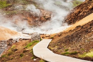 Reykjavik: Privat tur til Reykjanes-halvøen med Den Blå Lagune