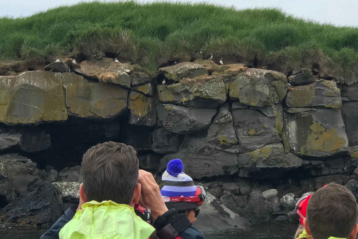 Reykjavík: RIB Speed-Boat Puffin Watching Tour