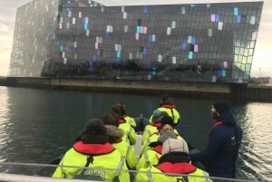 Reykjavík: RIB Speed-Boat Puffin Watching Tour