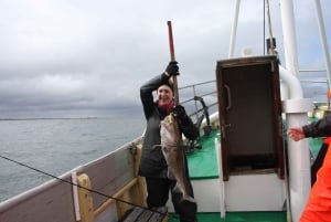 Reykjavík - wędkarstwo morskie dla smakoszy